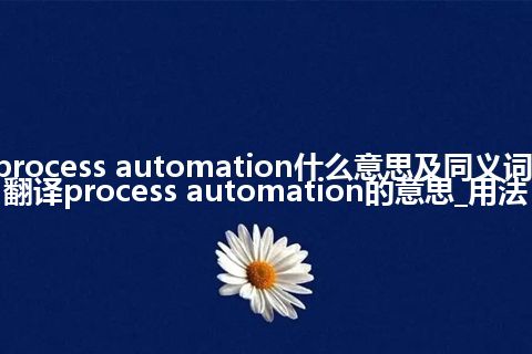 process automation什么意思及同义词_翻译process automation的意思_用法