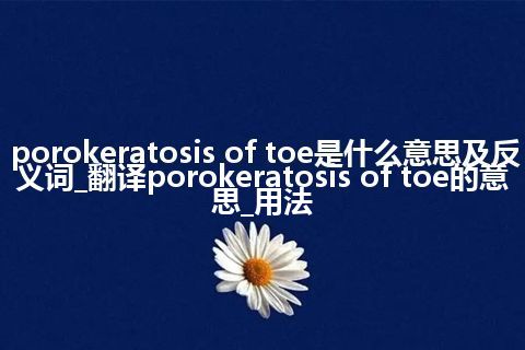porokeratosis of toe是什么意思及反义词_翻译porokeratosis of toe的意思_用法