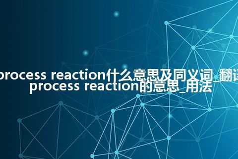 process reaction什么意思及同义词_翻译process reaction的意思_用法