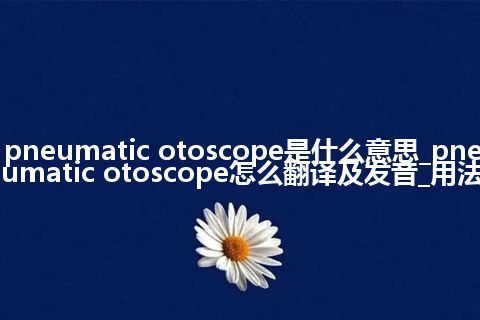 pneumatic otoscope是什么意思_pneumatic otoscope怎么翻译及发音_用法