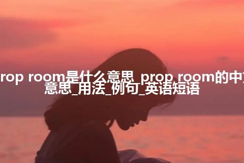 prop room是什么意思_prop room的中文意思_用法_例句_英语短语