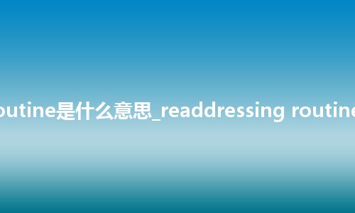 readdressing routine是什么意思_readdressing routine的中文意思_用法