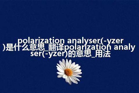 polarization analyser(-yzer)是什么意思_翻译polarization analyser(-yzer)的意思_用法