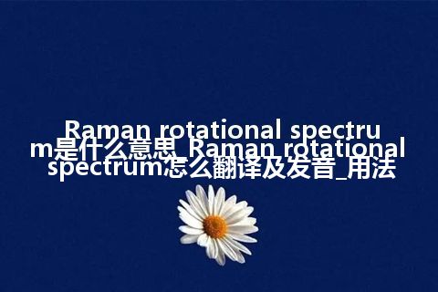 Raman rotational spectrum是什么意思_Raman rotational spectrum怎么翻译及发音_用法