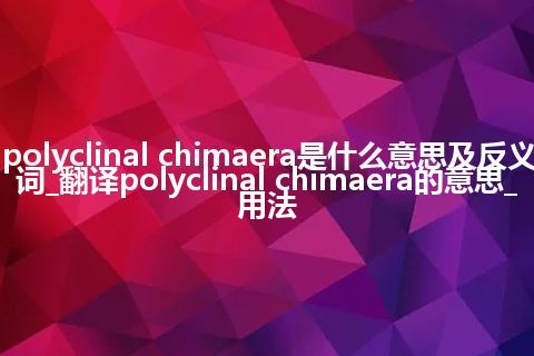 polyclinal chimaera是什么意思及反义词_翻译polyclinal chimaera的意思_用法