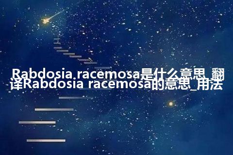 Rabdosia racemosa是什么意思_翻译Rabdosia racemosa的意思_用法