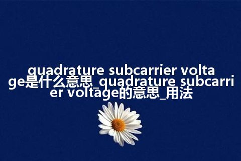 quadrature subcarrier voltage是什么意思_quadrature subcarrier voltage的意思_用法