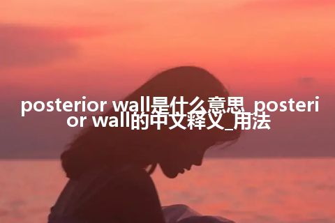 posterior wall是什么意思_posterior wall的中文释义_用法