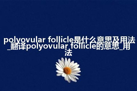 polyovular follicle是什么意思及用法_翻译polyovular follicle的意思_用法
