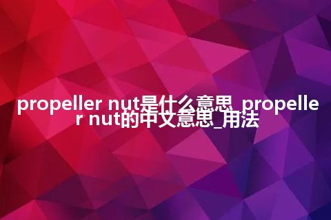 propeller nut是什么意思_propeller nut的中文意思_用法