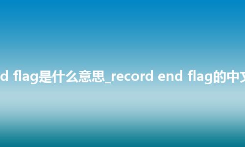 record end flag是什么意思_record end flag的中文意思_用法