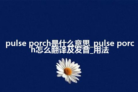 pulse porch是什么意思_pulse porch怎么翻译及发音_用法