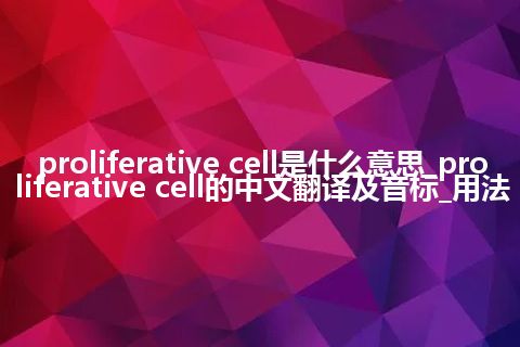 proliferative cell是什么意思_proliferative cell的中文翻译及音标_用法