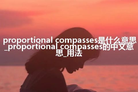 proportional compasses是什么意思_proportional compasses的中文意思_用法