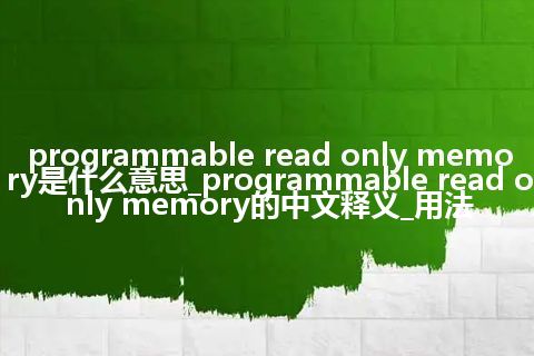 programmable read only memory是什么意思_programmable read only memory的中文释义_用法