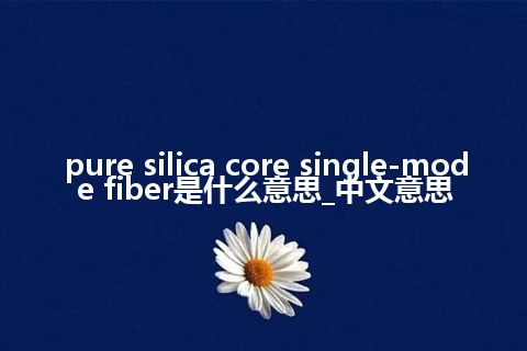 pure silica core single-mode fiber是什么意思_中文意思