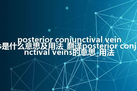 posterior conjunctival veins是什么意思及用法_翻译posterior conjunctival veins的意思_用法