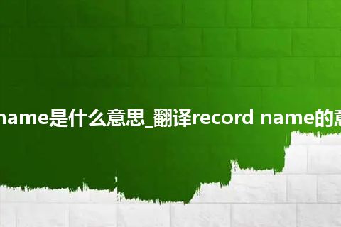 record name是什么意思_翻译record name的意思_用法
