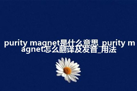purity magnet是什么意思_purity magnet怎么翻译及发音_用法