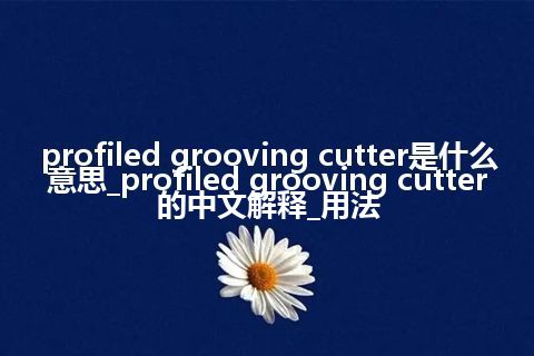 profiled grooving cutter是什么意思_profiled grooving cutter的中文解释_用法
