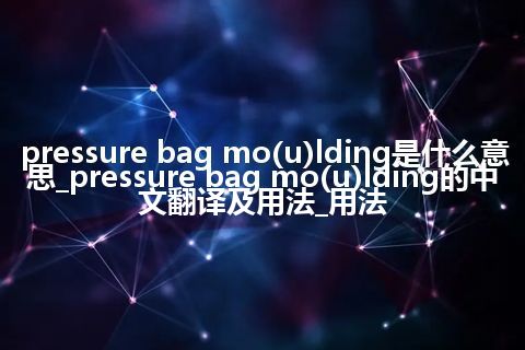 pressure bag mo(u)lding是什么意思_pressure bag mo(u)lding的中文翻译及用法_用法