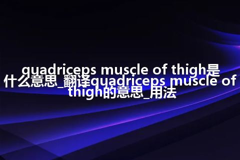 quadriceps muscle of thigh是什么意思_翻译quadriceps muscle of thigh的意思_用法