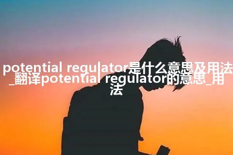 potential regulator是什么意思及用法_翻译potential regulator的意思_用法