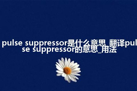 pulse suppressor是什么意思_翻译pulse suppressor的意思_用法