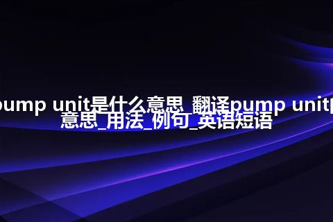 pump unit是什么意思_翻译pump unit的意思_用法_例句_英语短语