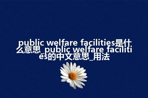 public welfare facilities是什么意思_public welfare facilities的中文意思_用法