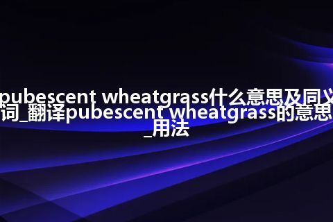 pubescent wheatgrass什么意思及同义词_翻译pubescent wheatgrass的意思_用法