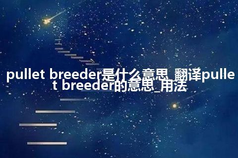 pullet breeder是什么意思_翻译pullet breeder的意思_用法