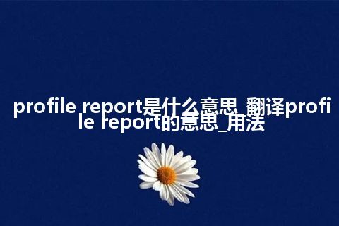 profile report是什么意思_翻译profile report的意思_用法