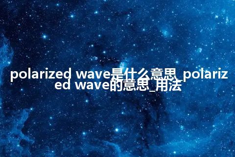 polarized wave是什么意思_polarized wave的意思_用法