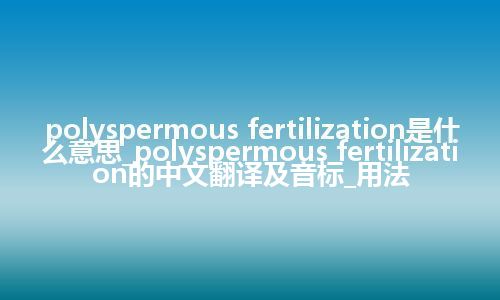 polyspermous fertilization是什么意思_polyspermous fertilization的中文翻译及音标_用法