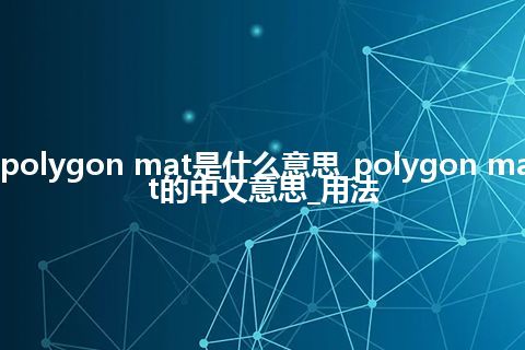 polygon mat是什么意思_polygon mat的中文意思_用法