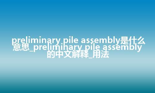 preliminary pile assembly是什么意思_preliminary pile assembly的中文解释_用法