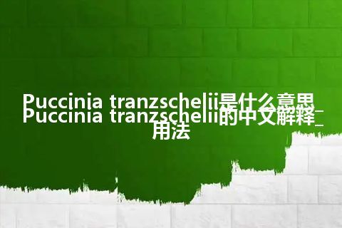 Puccinia tranzschelii是什么意思_Puccinia tranzschelii的中文解释_用法