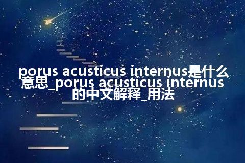porus acusticus internus是什么意思_porus acusticus internus的中文解释_用法