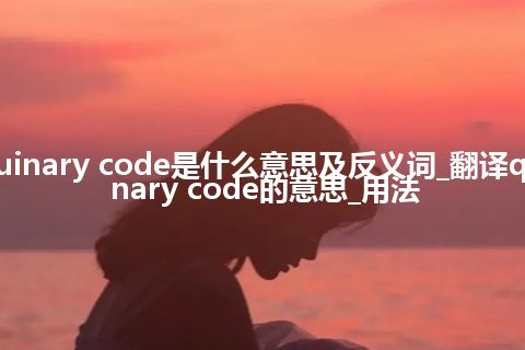 quinary code是什么意思及反义词_翻译quinary code的意思_用法