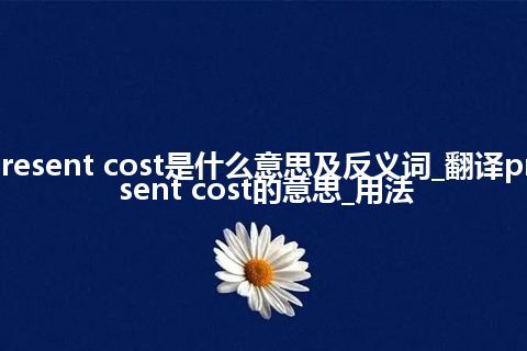 present cost是什么意思及反义词_翻译present cost的意思_用法