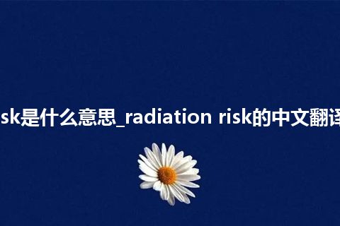 radiation risk是什么意思_radiation risk的中文翻译及用法_用法
