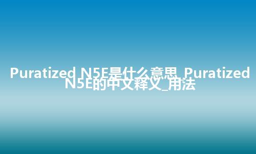 Puratized N5E是什么意思_Puratized N5E的中文释义_用法