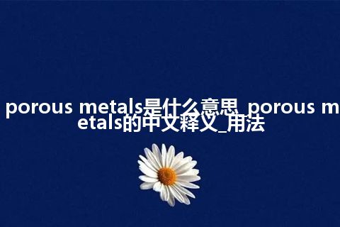 porous metals是什么意思_porous metals的中文释义_用法