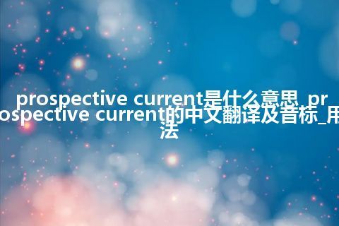 prospective current是什么意思_prospective current的中文翻译及音标_用法