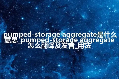 pumped-storage aggregate是什么意思_pumped-storage aggregate怎么翻译及发音_用法