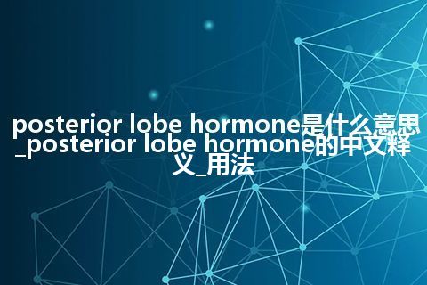 posterior lobe hormone是什么意思_posterior lobe hormone的中文释义_用法