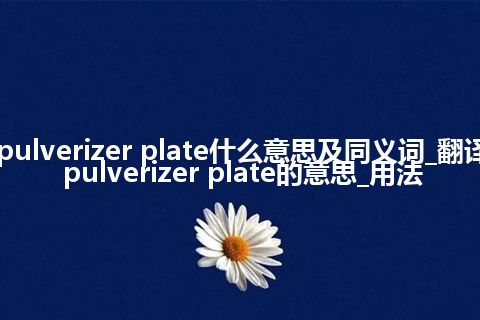 pulverizer plate什么意思及同义词_翻译pulverizer plate的意思_用法