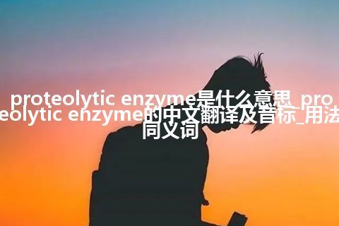 proteolytic enzyme是什么意思_proteolytic enzyme的中文翻译及音标_用法_同义词