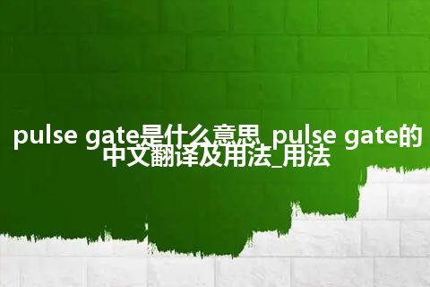 pulse gate是什么意思_pulse gate的中文翻译及用法_用法